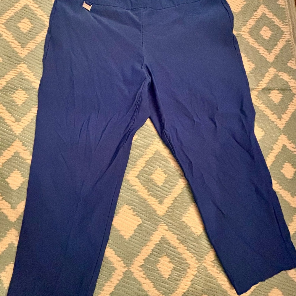 Blue Cropped Pants